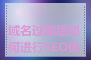 域名过期后如何进行SEO优化