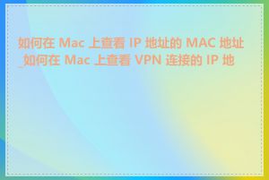 如何在 Mac 上查看 IP 地址的 MAC 地址_如何在 Mac 上查看 VPN 连接的 IP 地址