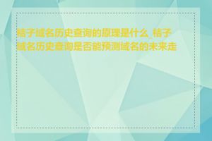 桔子域名历史查询的原理是什么_桔子域名历史查询是否能预测域名的未来走势