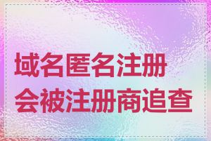 域名匿名注册会被注册商追查吗