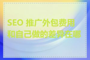 SEO 推广外包费用和自己做的差异在哪里