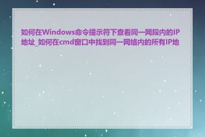 如何在Windows命令提示符下查看同一网段内的IP地址_如何在cmd窗口中找到同一网络内的所有IP地址