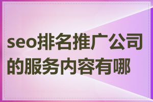 seo排名推广公司的服务内容有哪些