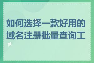 如何选择一款好用的域名注册批量查询工具