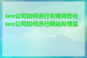 seo公司如何进行关键词优化_seo公司如何进行网站舆情监控