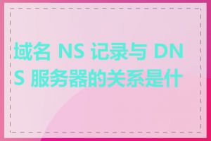 域名 NS 记录与 DNS 服务器的关系是什么