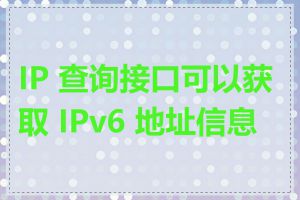 IP 查询接口可以获取 IPv6 地址信息吗