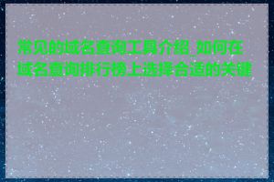 常见的域名查询工具介绍_如何在域名查询排行榜上选择合适的关键词