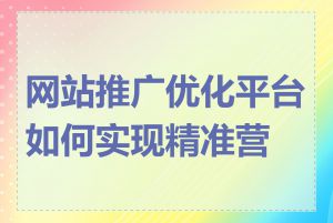 网站推广优化平台如何实现精准营销