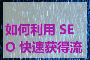 如何利用 SEO 快速获得流量