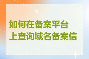 如何在备案平台上查询域名备案信息