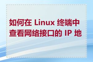 如何在 Linux 终端中查看网络接口的 IP 地址