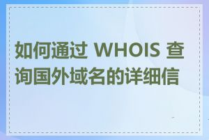 如何通过 WHOIS 查询国外域名的详细信息