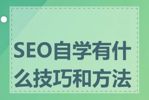 SEO自学有什么技巧和方法吗