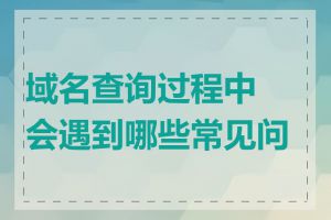 域名查询过程中会遇到哪些常见问题