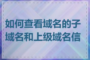 如何查看域名的子域名和上级域名信息