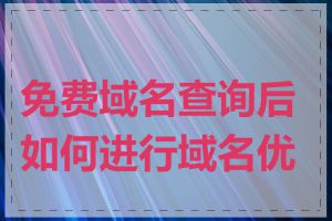 免费域名查询后如何进行域名优化