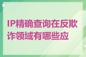 IP精确查询在反欺诈领域有哪些应用