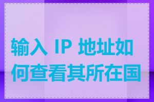 输入 IP 地址如何查看其所在国家