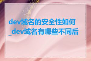 dev域名的安全性如何_dev域名有哪些不同后缀