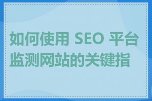 如何使用 SEO 平台监测网站的关键指标