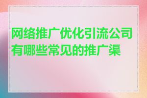 网络推广优化引流公司有哪些常见的推广渠道