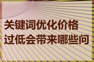 关键词优化价格过低会带来哪些问题