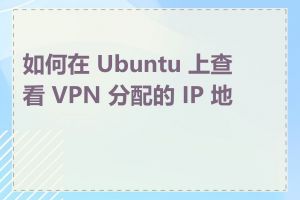 如何在 Ubuntu 上查看 VPN 分配的 IP 地址