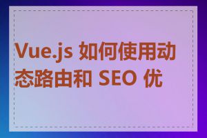 Vue.js 如何使用动态路由和 SEO 优化