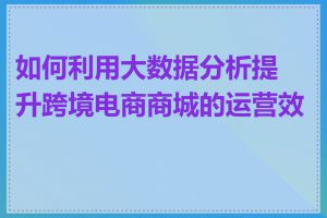 如何利用大数据分析提升跨境电商商城的运营效率