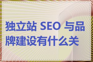 独立站 SEO 与品牌建设有什么关系