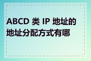 ABCD 类 IP 地址的地址分配方式有哪些