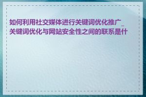 如何利用社交媒体进行关键词优化推广_关键词优化与网站安全性之间的联系是什么