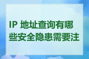 IP 地址查询有哪些安全隐患需要注意