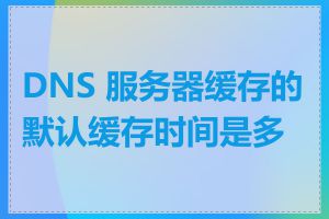 DNS 服务器缓存的默认缓存时间是多久