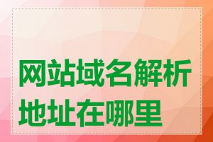 网站域名解析地址在哪里查