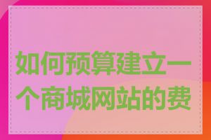 如何预算建立一个商城网站的费用