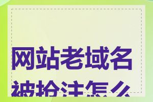 网站老域名被抢注怎么办