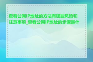 查看公网IP地址的方法有哪些风险和注意事项_查看公网IP地址的步骤是什么