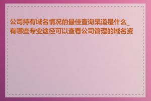 公司持有域名情况的最佳查询渠道是什么_有哪些专业途径可以查看公司管理的域名资产