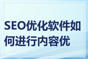 SEO优化软件如何进行内容优化