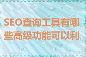 SEO查询工具有哪些高级功能可以利用