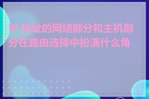 IP 地址的网络部分和主机部分在路由选择中扮演什么角色