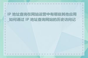 IP 地址查询在网站运营中有哪些其他应用_如何通过 IP 地址查询网站的历史访问记录