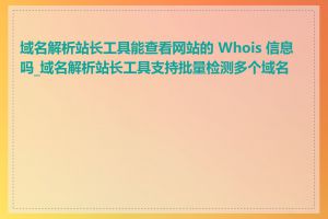 域名解析站长工具能查看网站的 Whois 信息吗_域名解析站长工具支持批量检测多个域名吗