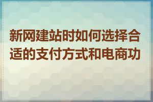 新网建站时如何选择合适的支付方式和电商功能