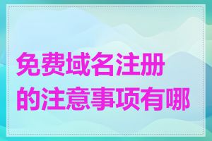 免费域名注册的注意事项有哪些