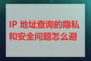 IP 地址查询的隐私和安全问题怎么避免