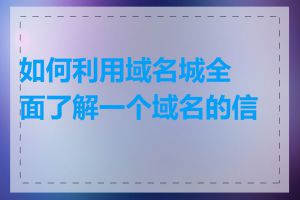 如何利用域名城全面了解一个域名的信息