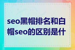 seo黑帽排名和白帽seo的区别是什么